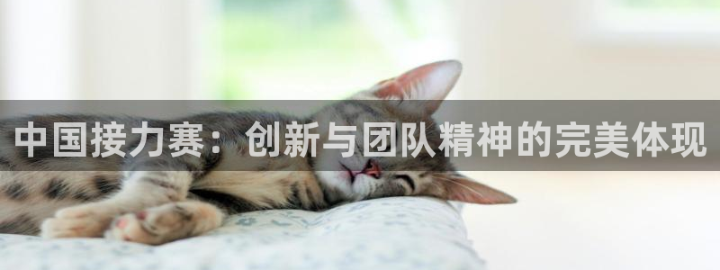 77体育官网