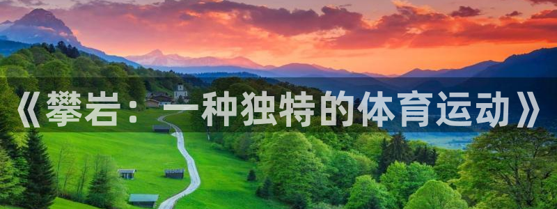 77体育app下载官网