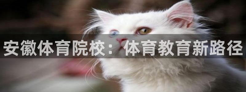 77体育