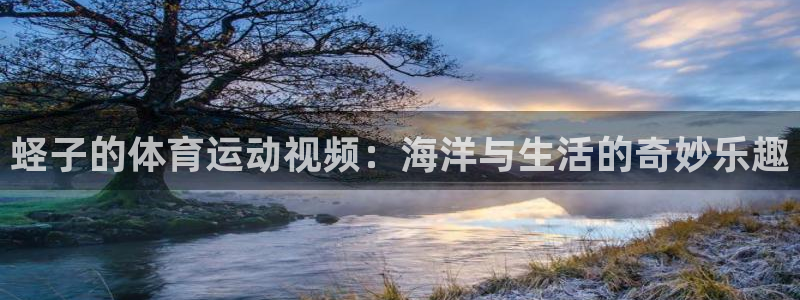 77体育官网