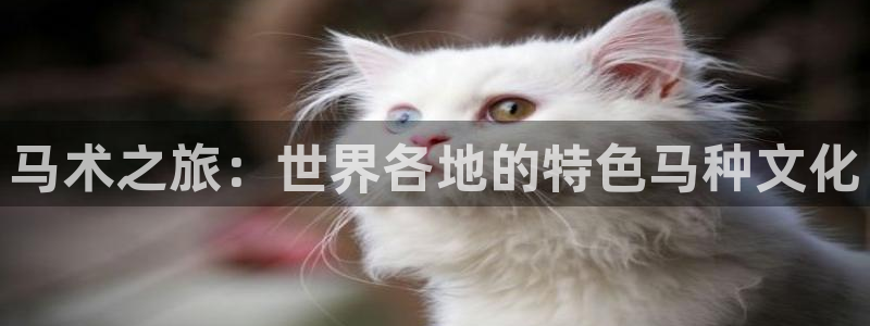 皇冠277体育