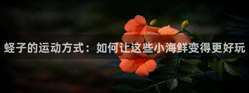 77体育官网