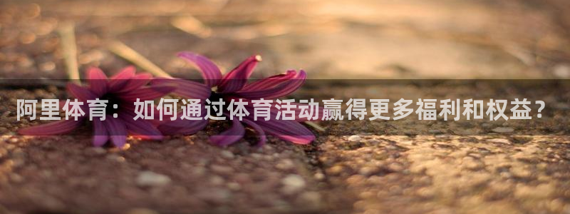 77体育