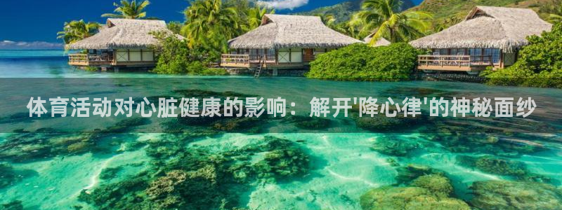 77体育官网