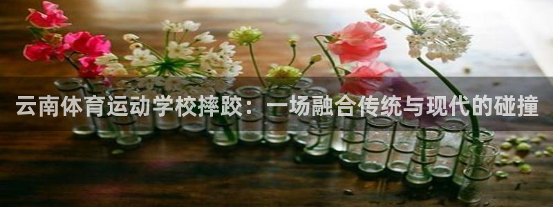 77体育app下载官网