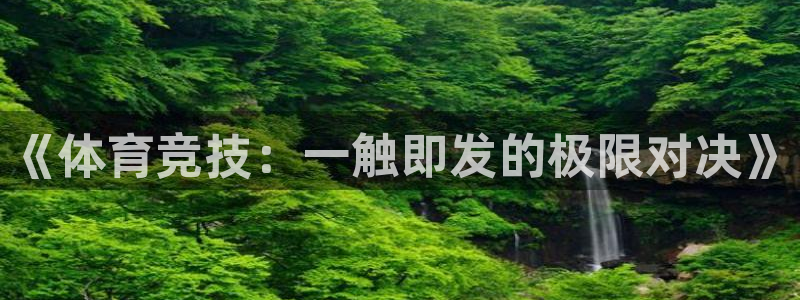 77体育