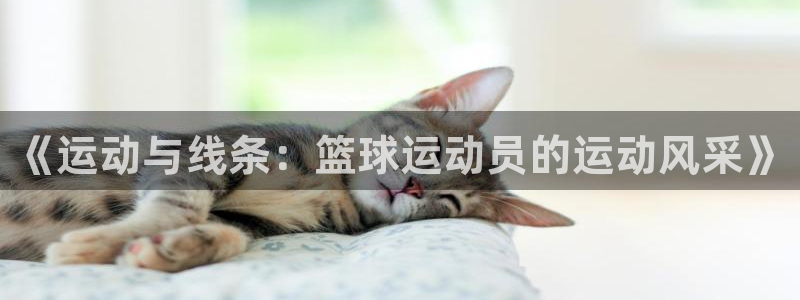 77体育