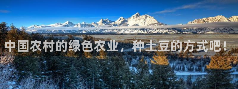 77体育app下载官网